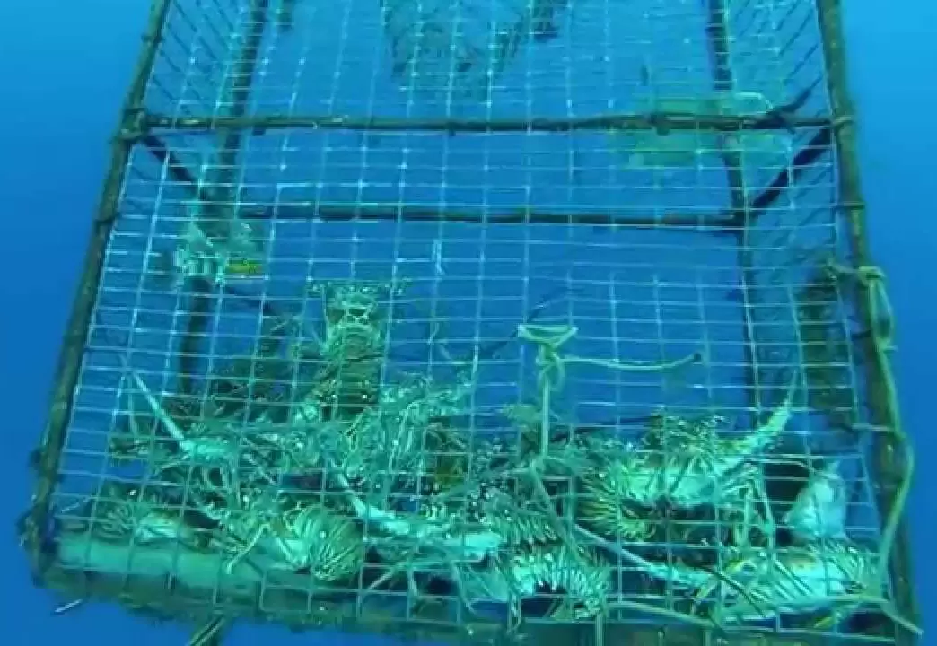 Reti per l'acquacoltura in acque profonde