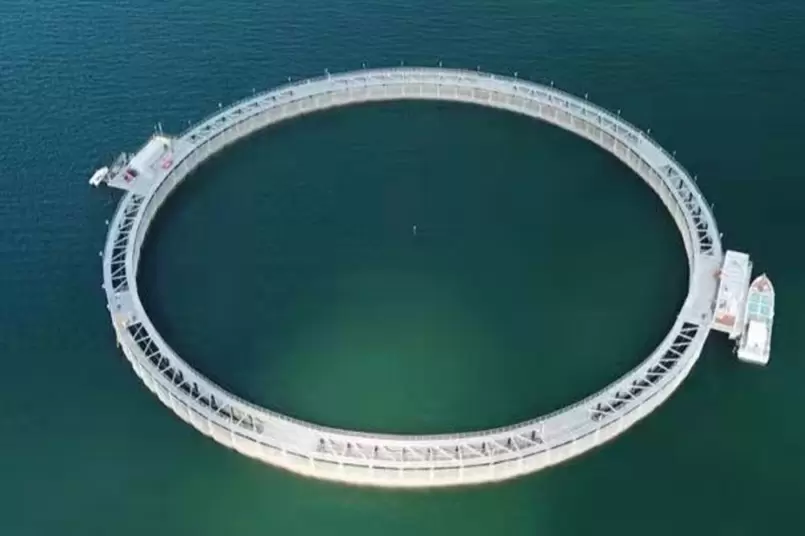 Progetto di rete per squali Bao NengOrange Fishing Sand Hotel