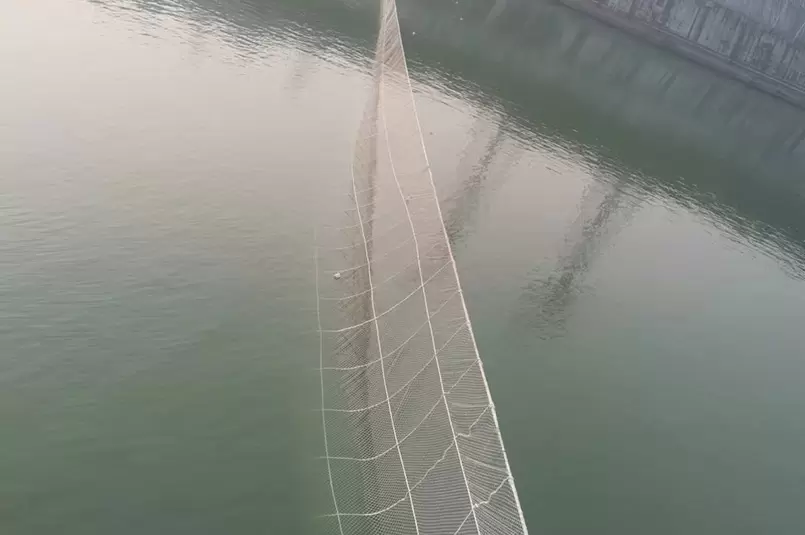 Acquacoltura dello storione cinese nelle Tre Gole dello Yangtze, rete di sbarramento da 255 metri